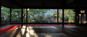 春の夜灯り ２０１６