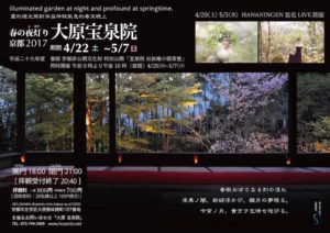 春の夜灯り 京都 - ２０１７ - 大原宝泉院